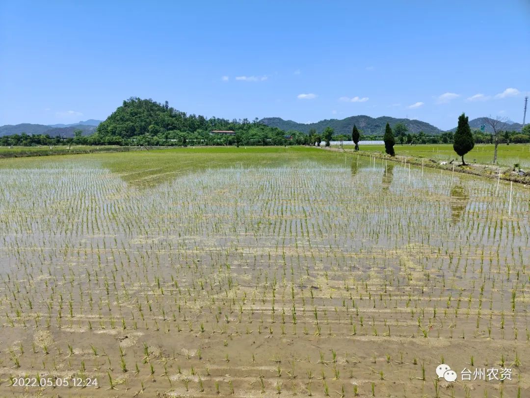 臺州農(nóng)資 臺州農(nóng)資