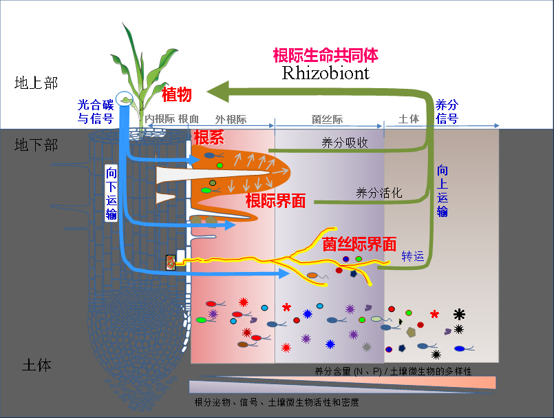 臺州農(nóng)資 臺州農(nóng)資