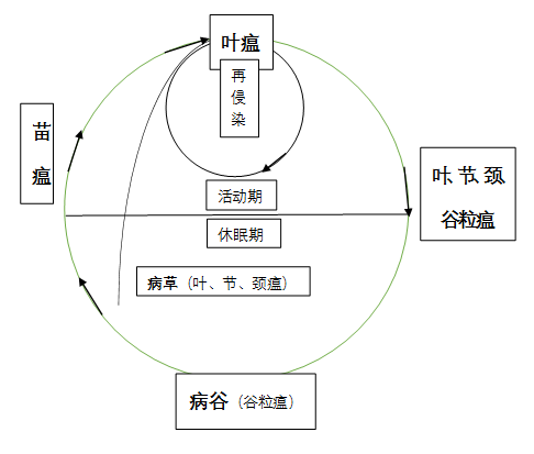 臺州農(nóng)資 臺州農(nóng)資